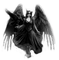 Y.A.M._Gothic angel black-white - PNG gratuit GIF animé