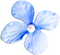 soave deco flowers scrap blue - PNG gratuit GIF animé