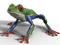 sammakko, frog - gratis png animeret GIF