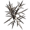 thorns - bezmaksas png animēts GIF