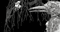 Untitled - Korn - Безплатен анимиран GIF анимиран GIF