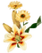 flores deco beige marta