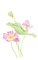 lotus Bb2 - PNG gratuit GIF animé