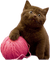 gato - безплатен png анимиран GIF
