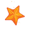 starfish Bb2 - безплатен png анимиран GIF