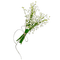 bouquet of flowers lily of the valley - png ฟรี GIF แบบเคลื่อนไหว