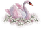 swans bp - PNG gratuit GIF animé