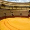 fond Bullfighting Arena bp - gratis png animeret GIF