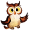 Kaz_Creations Owls Owl Birds Bird - png grátis Gif Animado