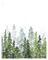 Forest - darmowe png animowany gif