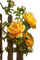 fleurs haie de roses jaunes - zdarma png animovaný GIF
