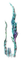 seagrass blue - PNG gratuit GIF animé