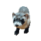 ferret - Darmowy animowany GIF animowany gif