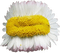 flower fail - gratis png geanimeerde GIF