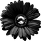 Flower.Black