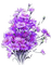 soave deco laventer flowers branch  purple - png grátis Gif Animado