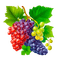 grapes Bb2 - PNG gratuit GIF animé
