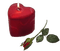 Kerze, Rose - PNG gratuit GIF animé