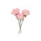 three pink roses - png gratis GIF animado