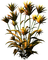 Planta de otoño - PNG gratuit GIF animé