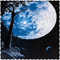 Mond in der Nacht milla1959