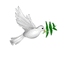 dove2 - Free animated GIF Animated GIF