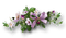 декорцветы - 免费PNG 动画 GIF