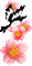 fleurs deco bird - Gratis geanimeerde GIF geanimeerde GIF