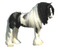 poney - безплатен png анимиран GIF
