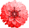 Snowflake.Glitter.Flower.Red - kostenlos png Animiertes GIF