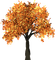 autumn tree - gratis png animerad GIF
