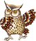 Kaz_Creations Birds Bird Owls Owl - png gratuito GIF animata