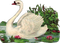 vintage swan - PNG gratuit GIF animé