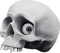 skull by nataliplus - zdarma png animovaný GIF