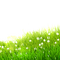 spring flowers green grass - png gratis GIF animasi