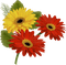dulcineia8 flores - png grátis Gif Animado