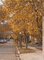 Autumn.Automne.Landscape.gif.Victoriabea - Kostenlose animierte GIFs Animiertes GIF