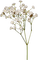 'blommor-vita----flowers-white - PNG gratuit GIF animé