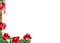 Frame Red Rose Gold Green - Bogusia - PNG gratuit GIF animé