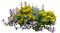 planta - bezmaksas png animēts GIF
