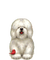 loly33 chien - Free PNG Animated GIF