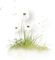 dandelions Bb2 - Free PNG Animated GIF