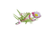 En rose - darmowe png animowany gif