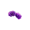 kikkapink deco scrap flowers glitter purple - PNG gratuit GIF animé