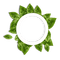green frame leaves - zdarma png animovaný GIF
