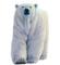 Kaz_Creations Deco Animals Animal Polar Bears - δωρεάν png κινούμενο GIF