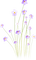 wildflowers Bb2 - png gratis GIF animasi