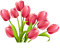 flor - δωρεάν png κινούμενο GIF