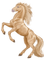 cream horse - безплатен png анимиран GIF