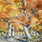 kikkapink autumn animated background - GIF animado gratis GIF animado